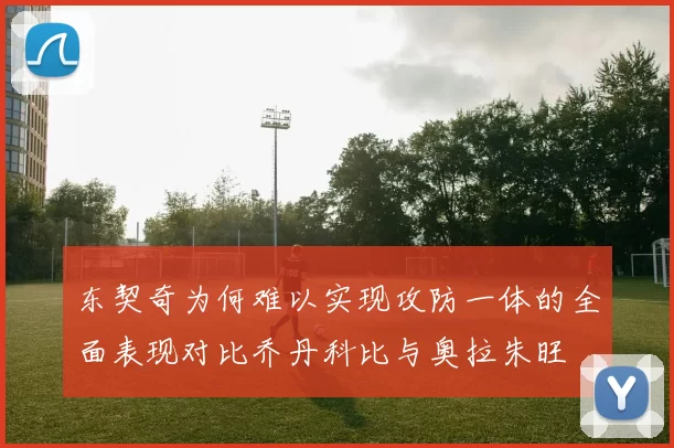 东契奇为何难以实现攻防一体的全面表现对比乔丹科比与奥拉朱旺