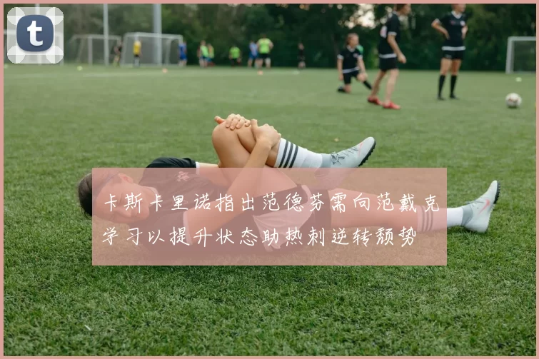 卡斯卡里诺指出范德芬需向范戴克学习以提升状态助热刺逆转颓势